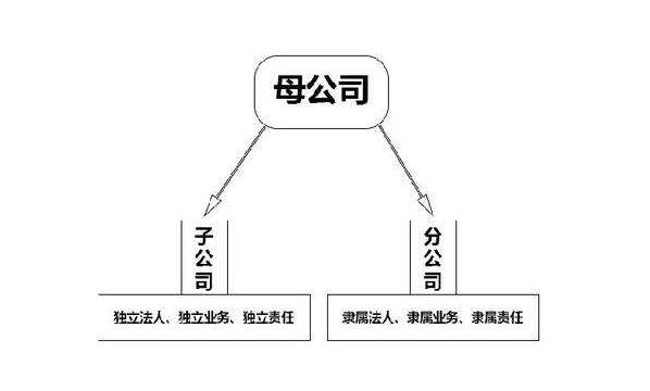 分公司的经营资质总公司能用进行投标吗？